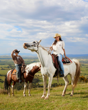 HORSE LOGO TEE SHELL