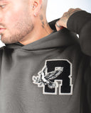 COLLEGE TEAM HOODIE COOL GREY